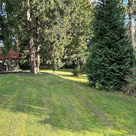 In Ruisseau De Vaux-et-Borset
