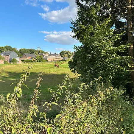 In Ruisseau De * Vaux-et-Borset