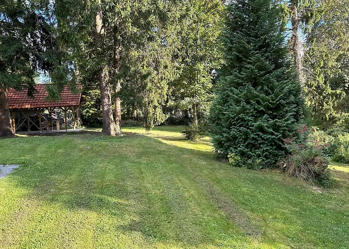 In Ruisseau De Vaux Les Waleffes