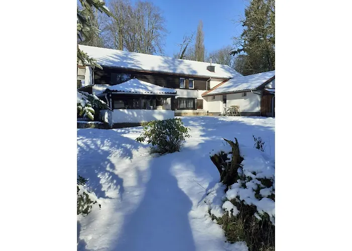 In Ruisseau De Vaux Les Waleffes