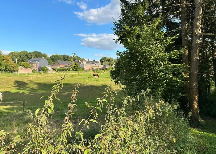 In Ruisseau De Vaux * Les Waleffes