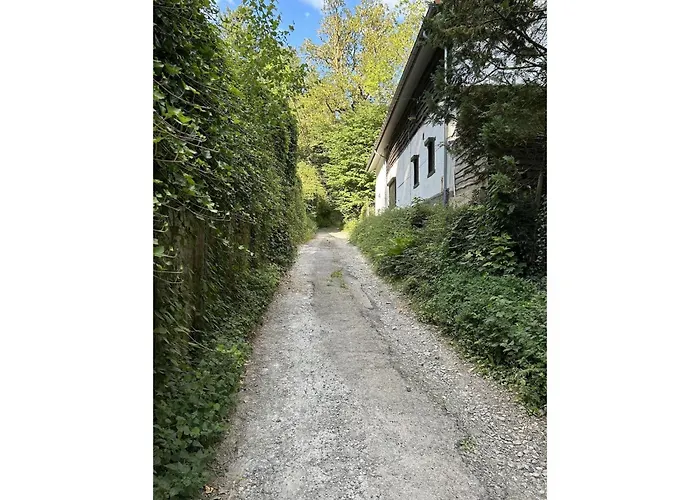 In Ruisseau De Vaux *